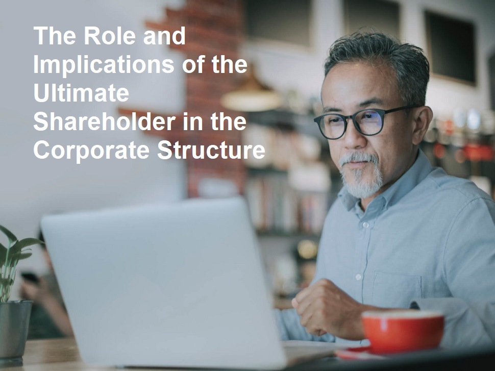 The Role and Implications of the Ultimate Shareholder in the Corporate ...